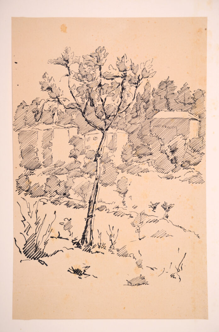 Castellani Leonardo 2 titolo Case al monte 1952 disegno a penna cm 31x20