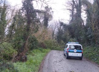 Vento forte e burrasca, bilancio dei danni provocati a Fano dal maltempo