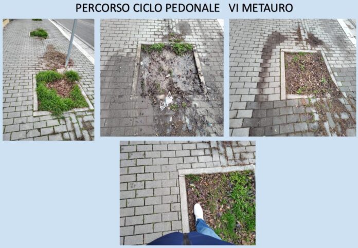 Pubblicazione1