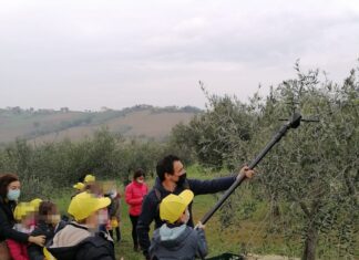 Coldiretti Marche: “Dopo l’enoturismo, necessaria una legge anche per l’olio turismo”