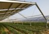 Coldiretti Marche: “Difendiamo i terreni agricoli, prematura e sbagliata la pdl sul fotovoltaico”