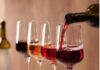 Pesaro Urbino, non solo cultura ma anche vino. Meglio “Cultura del vino”