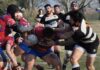 Essepigi Fano Rugby sconfitta a Ferrara. Domenica trasferta col Pieve di Cento