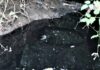 Fuoriuscite di percolato dalla discarica di Ca’ Lucio, Ruggeri: “Rafforzata la necessità di allontanare il più possibile le discariche dai centri abitati””