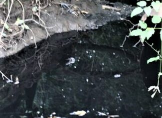 Fuoriuscite di percolato dalla discarica di Ca’ Lucio, Ruggeri: “Rafforzata la necessità di allontanare il più possibile le discariche dai centri abitati””