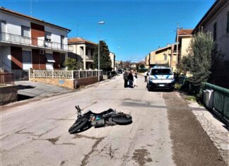Incidente a Fenile di Fano, feriti ragazzo e cagnolino