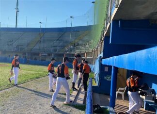 Fano Baseball ’94 si prepara per una nuova annata in serie B