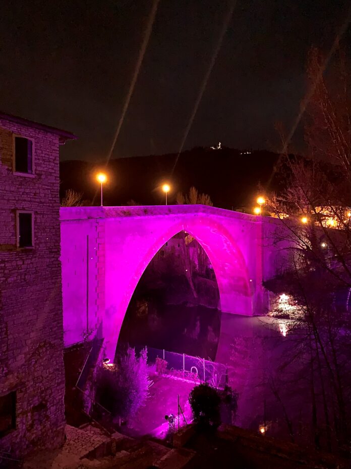 PINK_BRIDGE_CCOIN