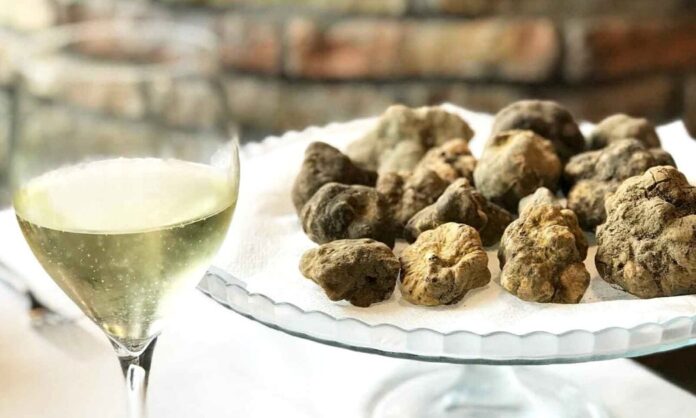 come-abbinare-tartufo-e-vino-