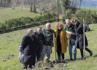 Sassocorvaro: 60 alberi donati dalla Bcc Metauro e Comune a Valle Avellana