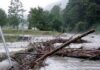 Coldiretti Marche esulta: “Gli agricoltori potranno tornare raccogliere legna liberando fiumi e corsi d’acqua”
