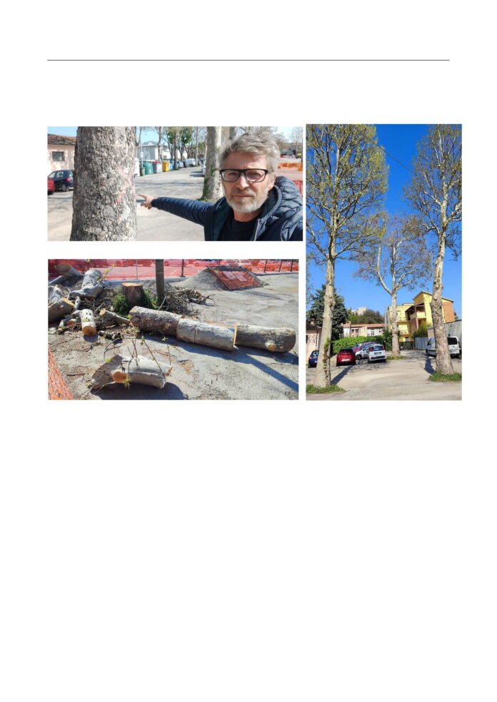 Appello al Sindaco alberi Foro Boario (1)-1