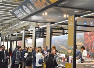 Le Marche al Vinitaly, Antonini: “Interesse crescente per i nostri vini”