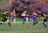 Essepigi Fano Rugby vittoria di prestigio sul Noceto