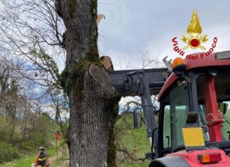 Si ferisce a una gamba e cade mentre taglia il ramo, morto agricoltore a Pietrarubbia
