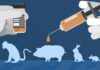 Associazioni unite contro la sperimentazione animale