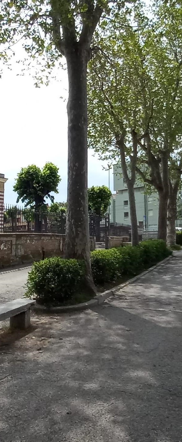 sottopasso-di-viale-cairoli-si-parte-lassessore-mette-tutti-a-tacere