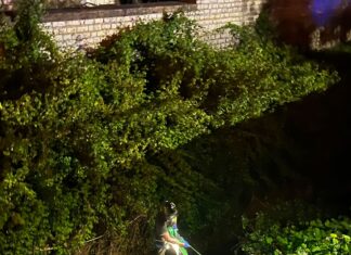 Fano, auto cappotta nel fossato. Tre giovani feriti