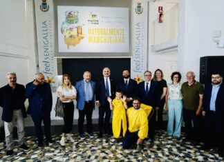 Nasce il brand del miele delle Marche