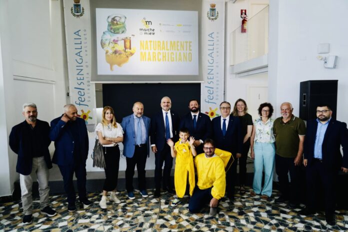 report conferenza stampa