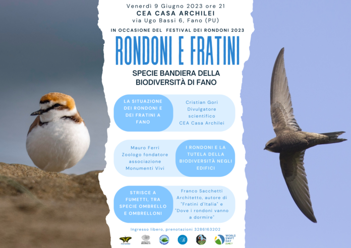rondoni e fratini (1)