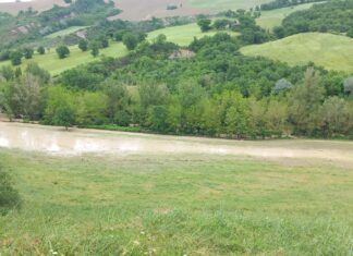 Coldiretti Marche, sos maltempo nelle campagne: “Danni incalcolabili”