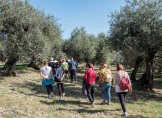 Serfilippi (Lega): “Oleturismo, una legge regionale che valorizza il nostro territorio”
