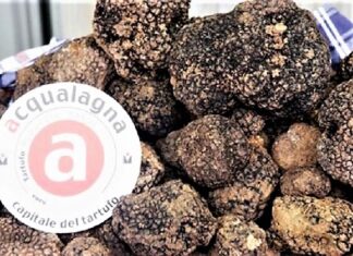 Acqualagna, Fiera del tartufo nero estivo, due giornate all’insegna del gusto e della sostenibilità
