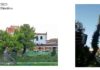 Fano, nessuna vetrina per gli alberi abbattuti