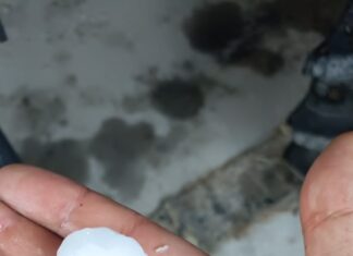 Maltempo, Fano, Marotta e Pesaro le più colpite tra grandine, pioggia e forte vento