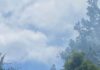 Incendio nella zona dell’agriturismo di Cirigiolo di proprietà di Giacomo Rossi. Tempestivo intervento dei vigili del fuoco evita il peggio