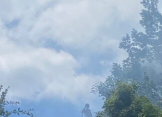 Incendio nella zona dell’agriturismo di Cirigiolo di proprietà di Giacomo Rossi. Tempestivo intervento dei vigili del fuoco evita il peggio