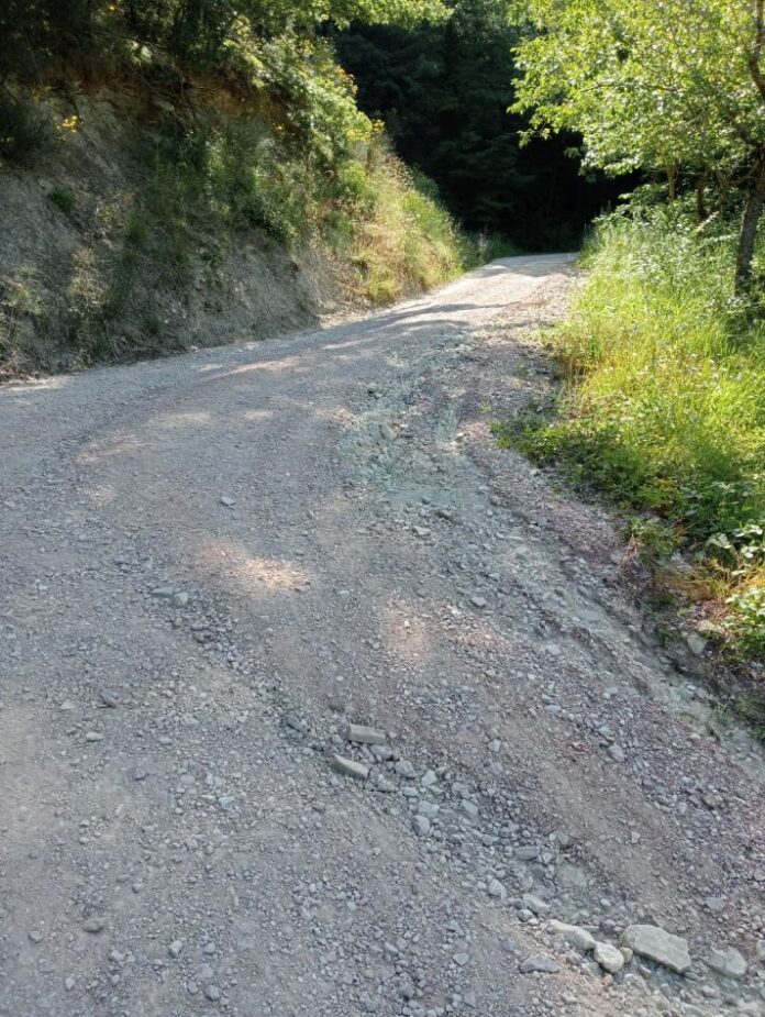IMG-20230706-WA0038