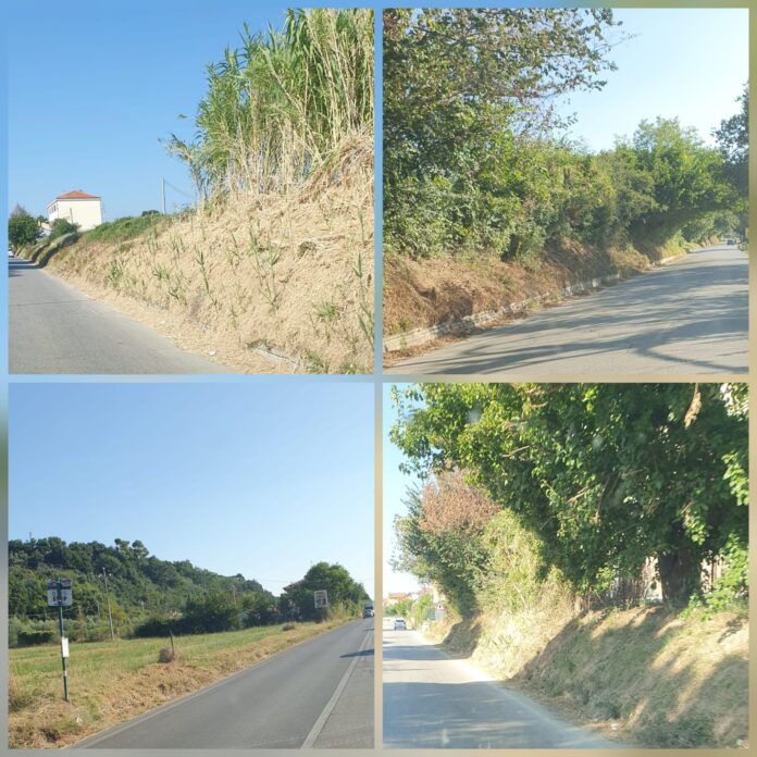 IMG-20230804-WA0014