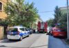 Fano, gattino si infila nel vano motore di un’auto. Liberato a fatica