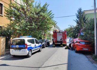 Fano, gattino si infila nel vano motore di un’auto. Liberato a fatica