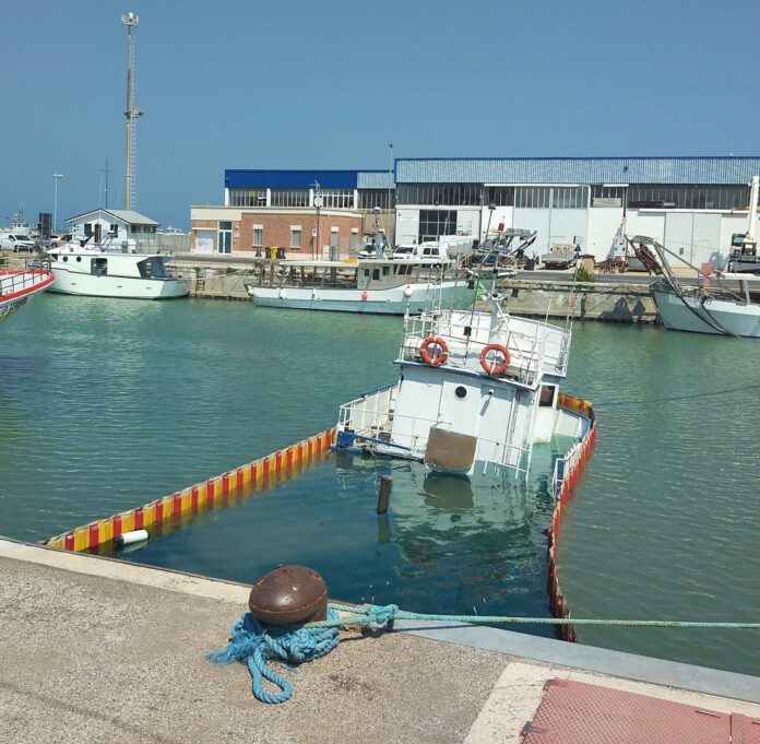 IMG-20230821-WA0009
