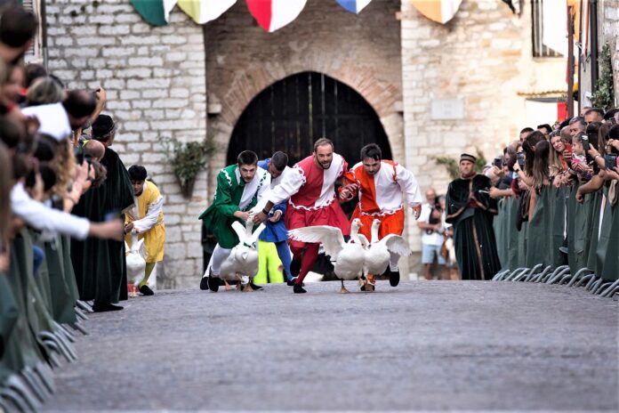 SERRA palio della Rocca