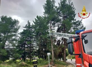 Forte vento lungo la costa Adriatica, 40 interventi dei vigili del fuoco tra Fano e Pesaro