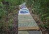 Land Art al Furlo, il programma