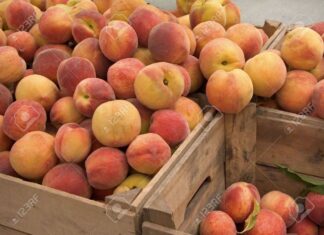 Sant’Angelo in Vado, si finge falso fruttivendolo e deruba un anziano. Dopo mezz’ora scatta l’arresto
