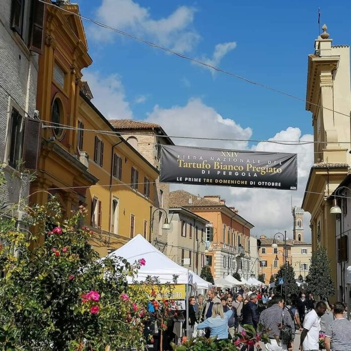 fiera tartufo pergola