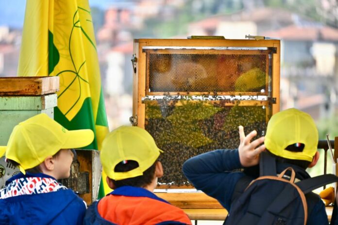 spiegare le api ai bambini (1)