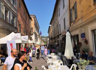 Pergola, terza domenica (15 ottobre) al tartufo, ce n’è per tutti i gusti!