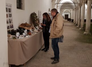 Mostra micologica a Urbania dal 21 al 23 ottobre