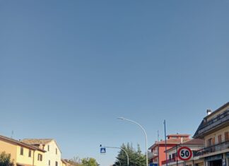Cagli, allarme di un cittadino dopo l’investimento mortale di un gatto travolto da due auto in via Mameli: “E se passavano un bimbo o un anziano?”