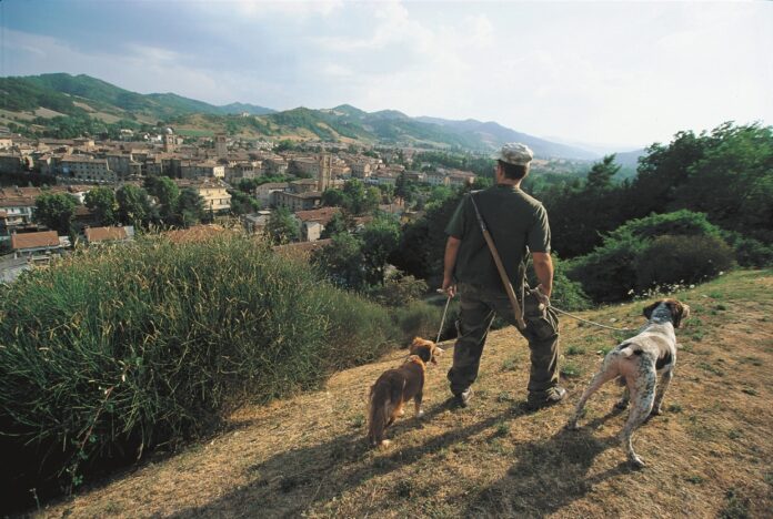 Sant'Angelo in Vado_Cercatore tartufi con cani copia