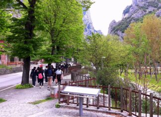 Passeggiate e visite guidate, al Furlo torna l’Educazione Ambientale per le scuole