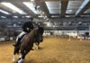 Il cavallo del Catria conquista Verona