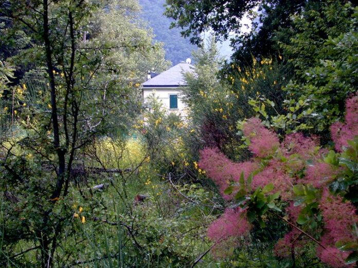 casa artisti